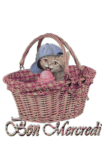 Gif animé Bon mercredi chat